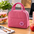 Insulated Lunch Bag